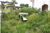 GARDEN BEFORE